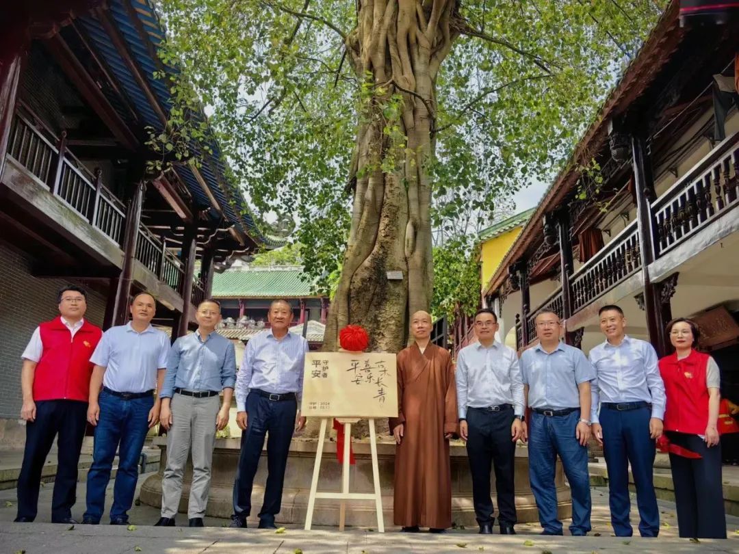 为主殿前菩提树进行守护行动揭牌