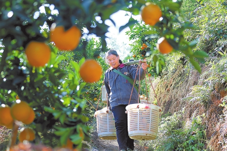 在希望的田野上（图）