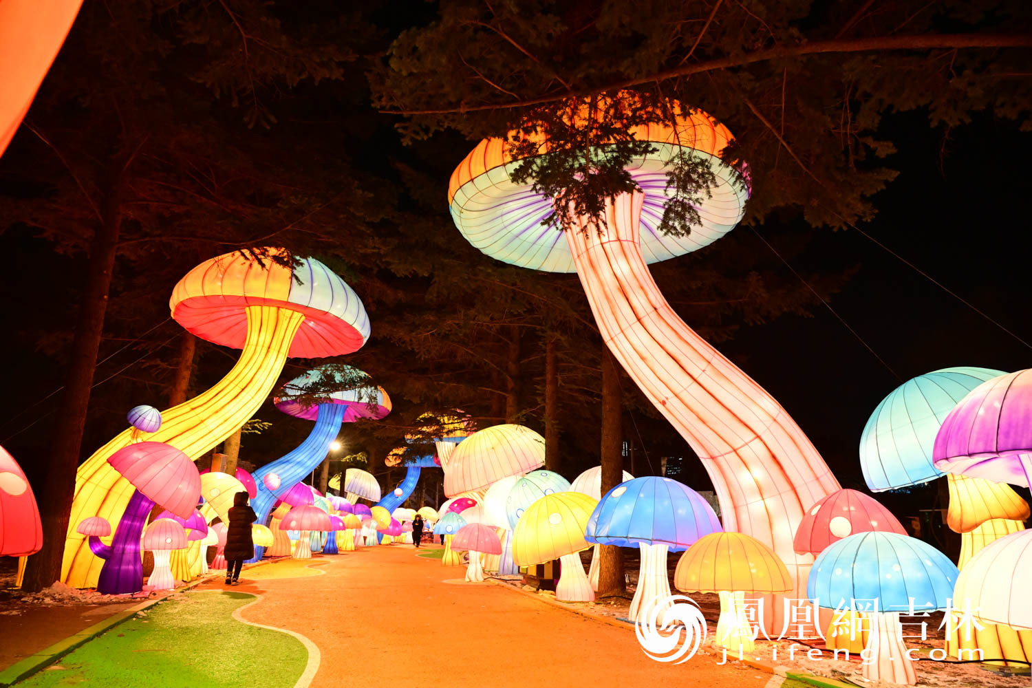 图集|长春动植物公园夜游焕新回归