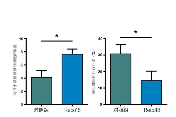 点击查看原始图片