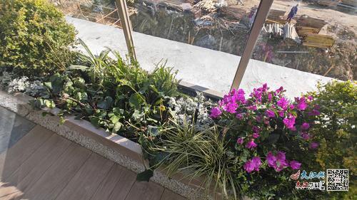 空中花园中安装了智能喷灌、庭院灯等配套设施