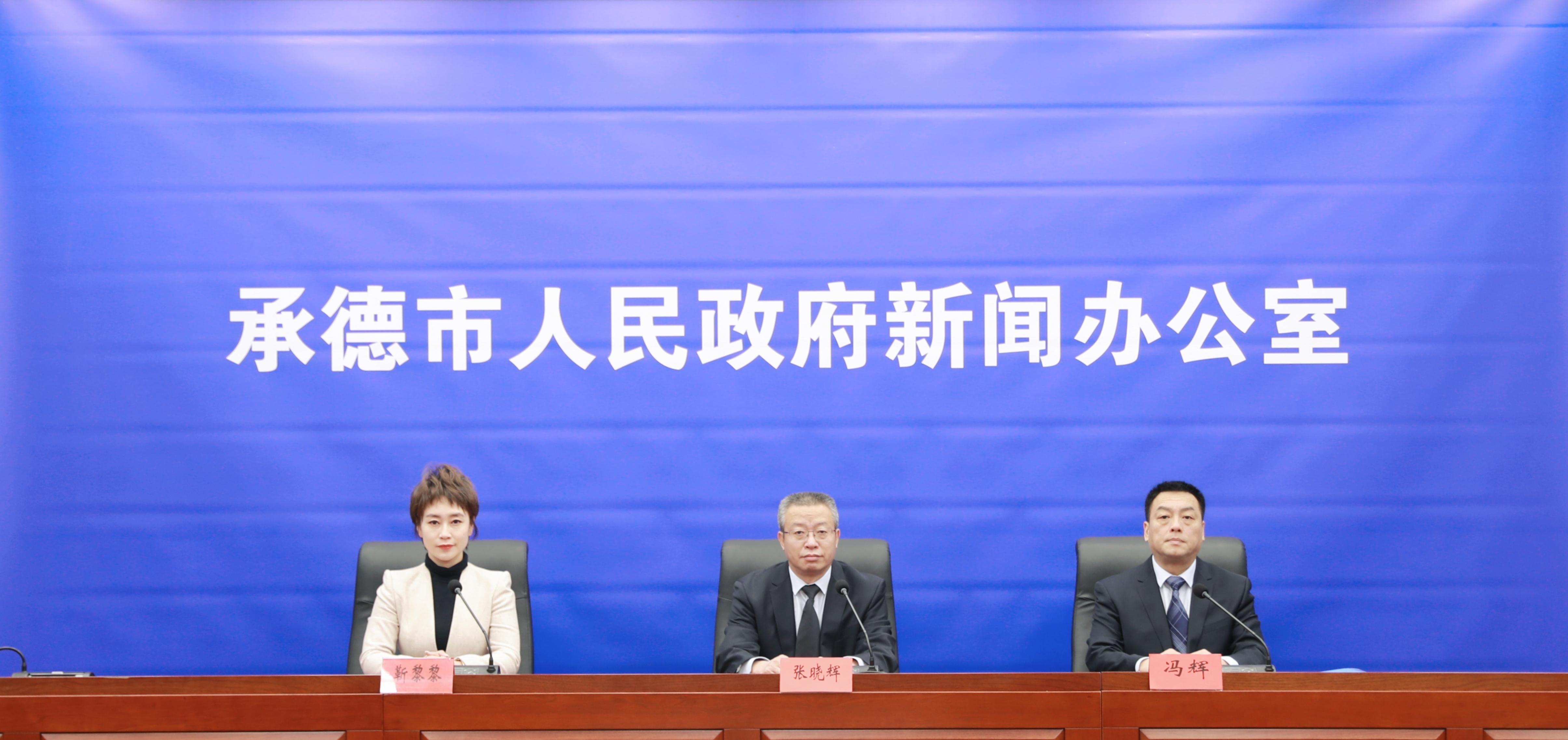 发布会 王占平摄