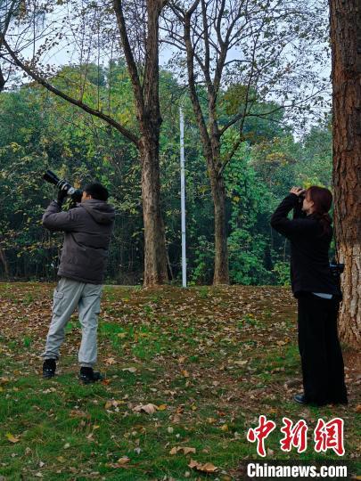 图为2024年鄱阳湖国际观鸟大赛现场，选手正在用望远镜和相机观鸟。永修县委宣传部供图