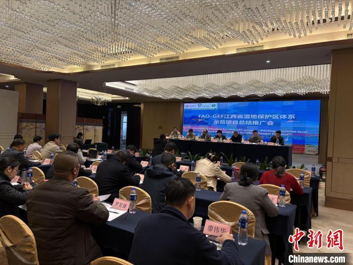 12月3日，FAO-GEF江西省湿地保护区体系示范项目总结推广会在南昌召开。李韵涵 摄