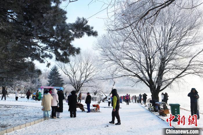 12月1日，吉林省吉林市，“小雾凇岛”上游人如织。　中新社记者 苍雁 摄