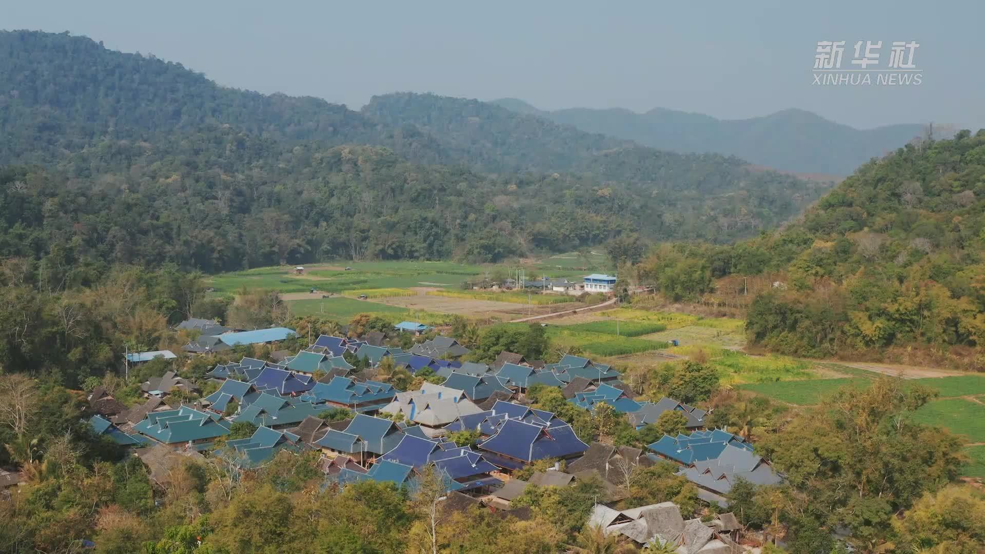 探秘云南西双版纳特色中药美食“树百旺”