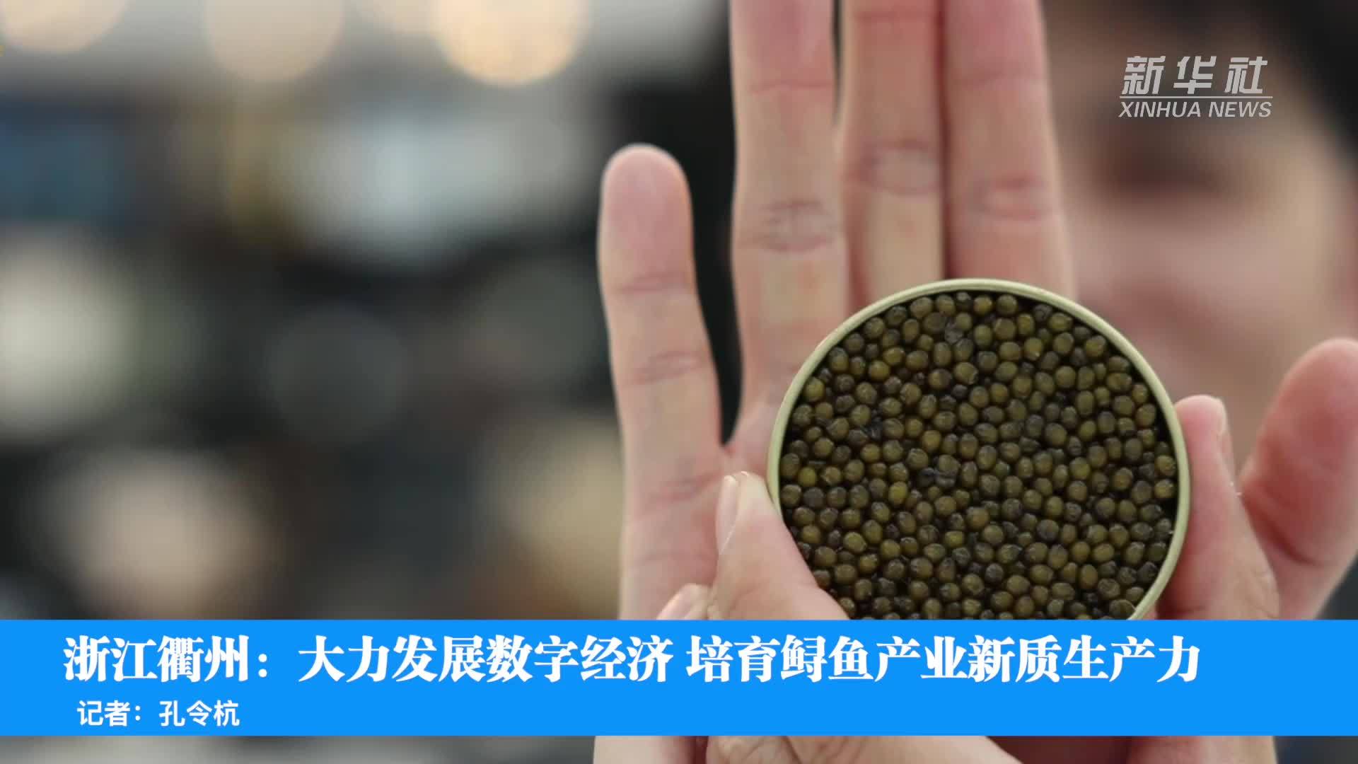 高质量发展调研行｜浙江衢州：大力发展数字经济 培育鲟鱼产业新质生产力