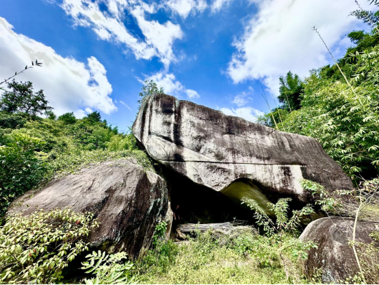 走进欢喜地：安溪青林岩田野调查小记 | 走进黄檗