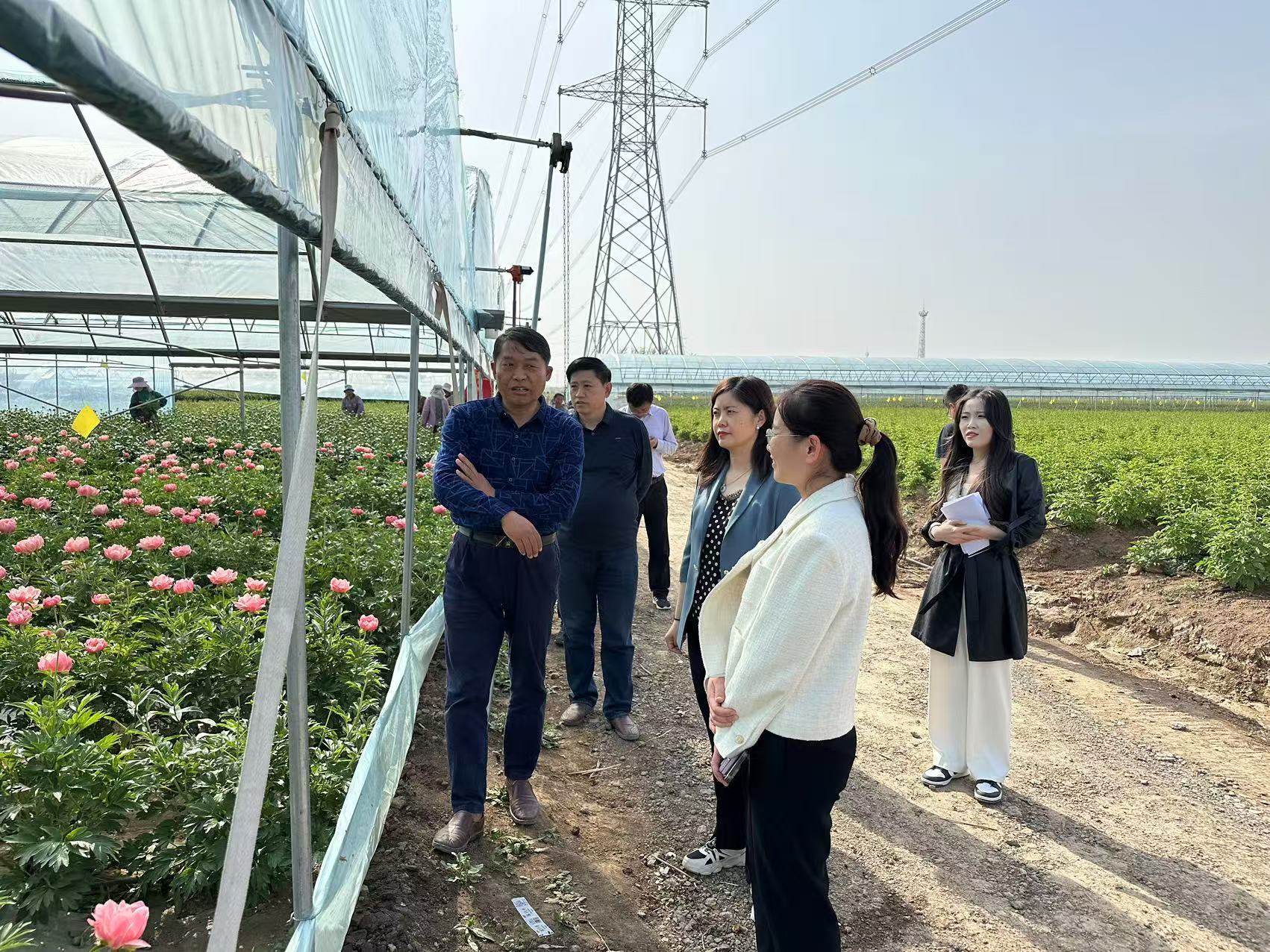 省派第一书记和工作队员们与镇领导共同探讨“三产融合”的新办法