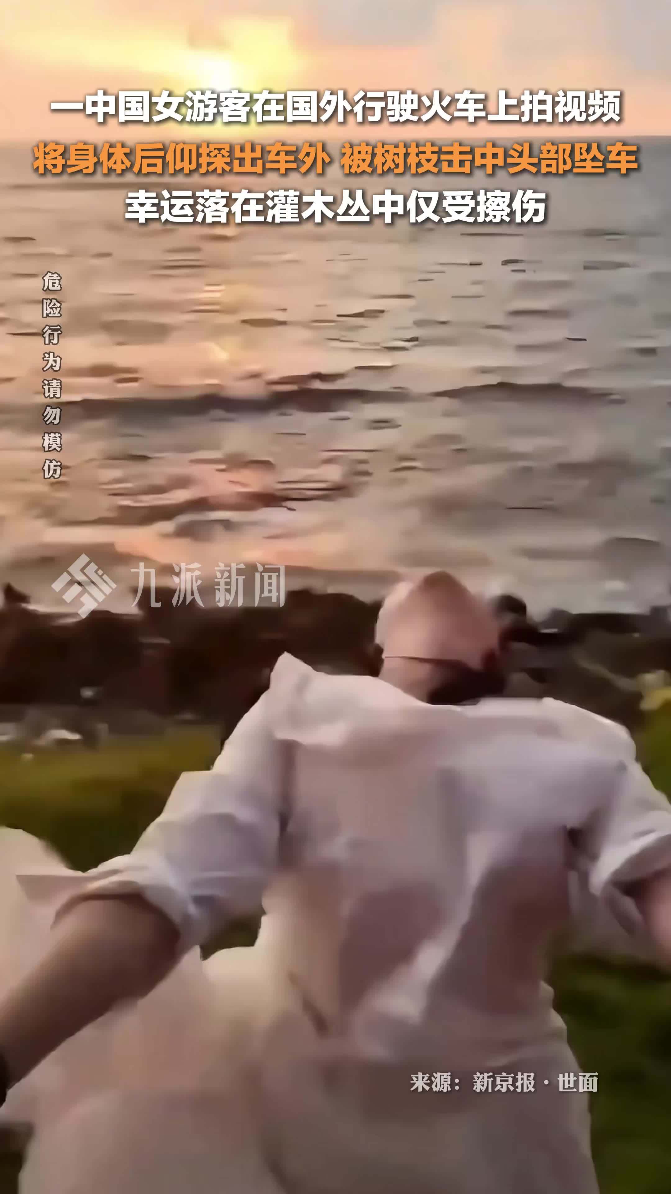 中国游客将身体探出火车拍视频意外坠车，幸运落在灌木丛中仅受擦伤