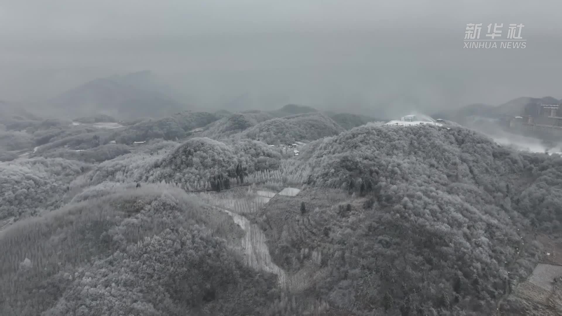 湖北恩施：大棚“添衣被”蔬菜过“暖冬”