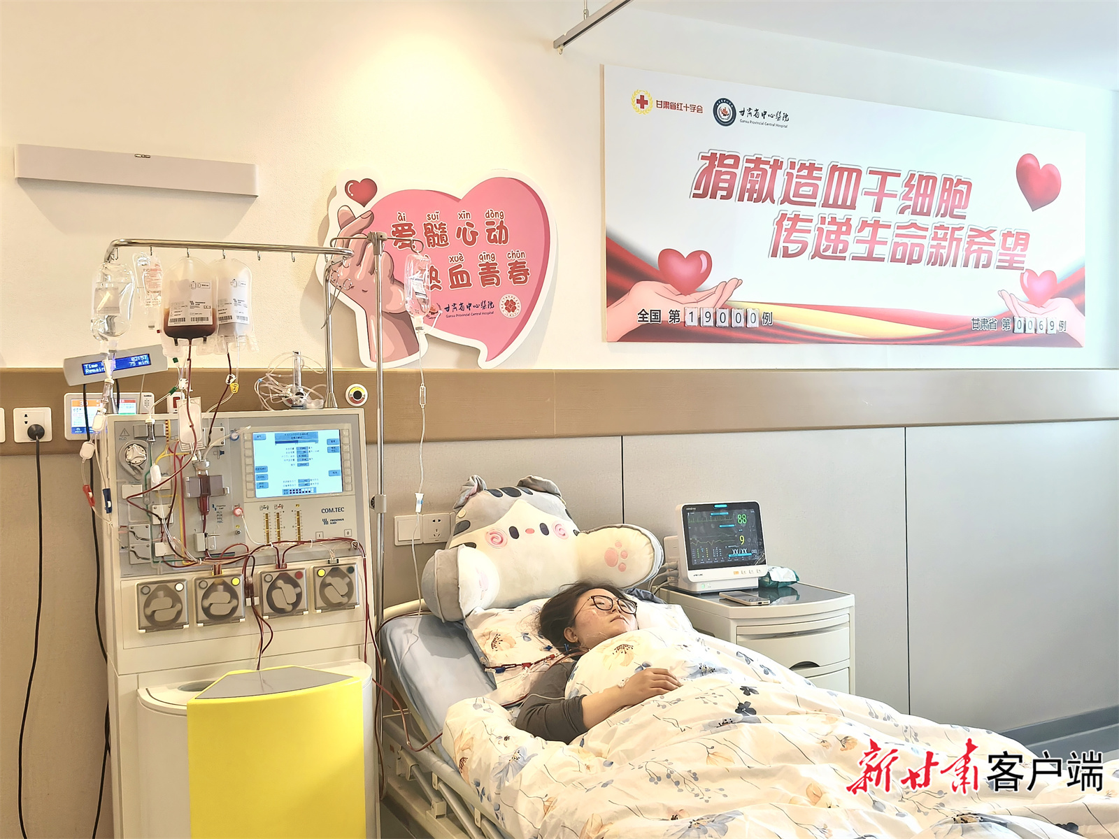 付晓正在采集造血干细胞 (新甘肃·甘肃日报记者 王君洁 摄)