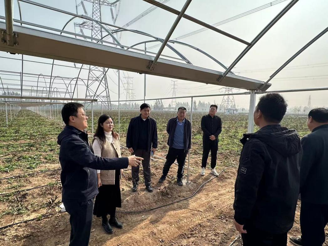 省派第一书记和工作队员们和镇领导共同描绘都司镇“和美乡村”新图景