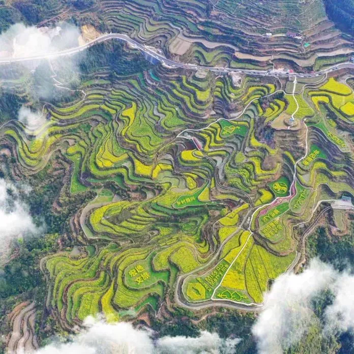 一路繁花