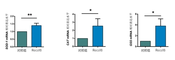 点击查看原始图片
