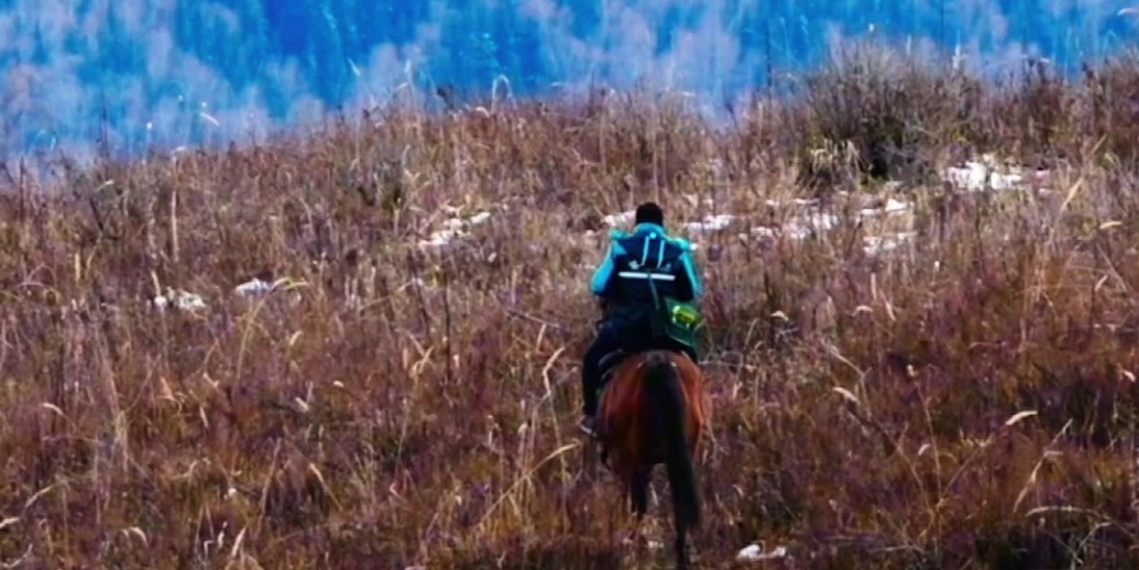 凡有人居处，必有邮政人