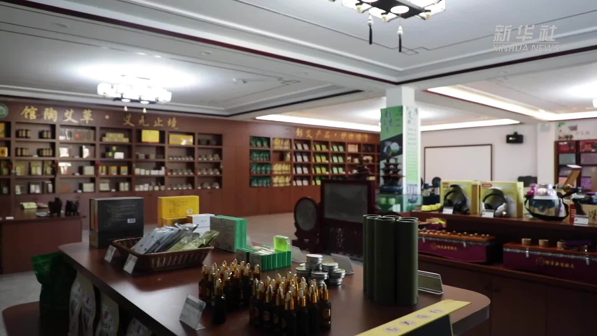 河北馆陶：特色艾草产业赋能乡村振兴