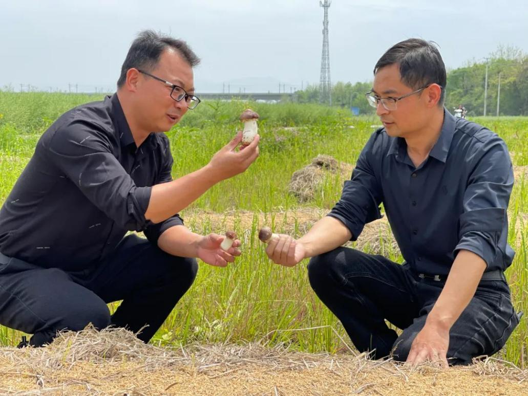 黄山市徽州区:“火车头”带动跑出乡村振兴加速度