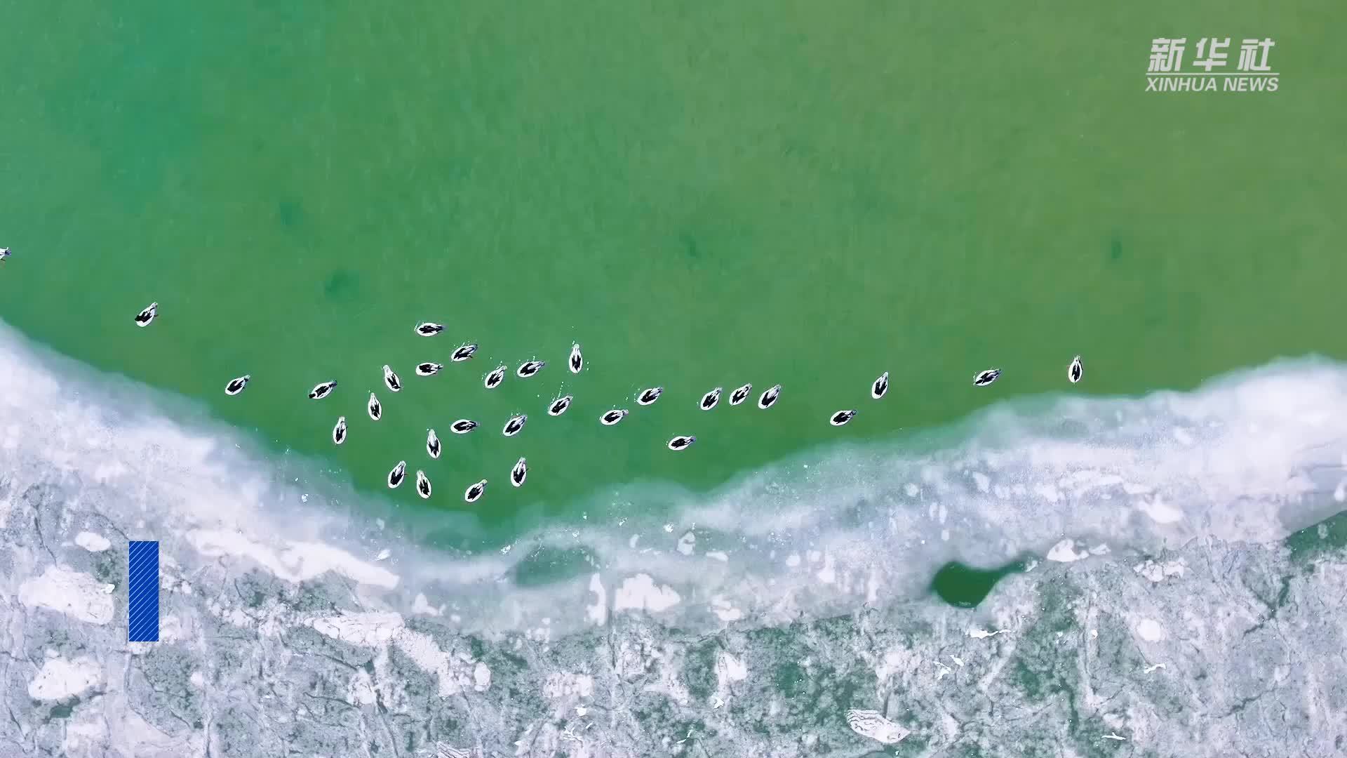 黄河源头：扎陵湖冬日秀丽多姿