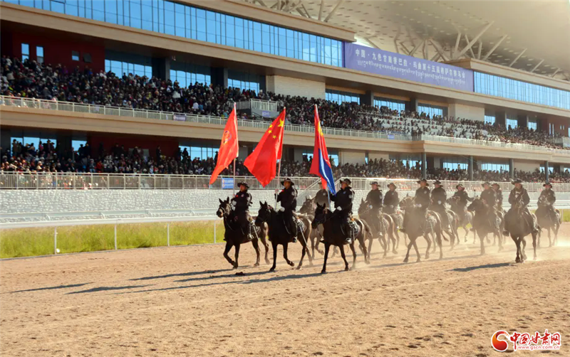 海拔3600米的马背骑警队20载护草原　成牧民最亲近的人