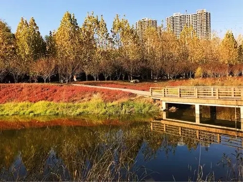 公园地址:中原区西三环与化工路交叉口