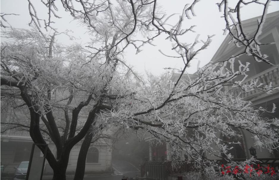庐山迎来今冬第一场降雪 雨凇雾凇雪凇景观齐现（图）
