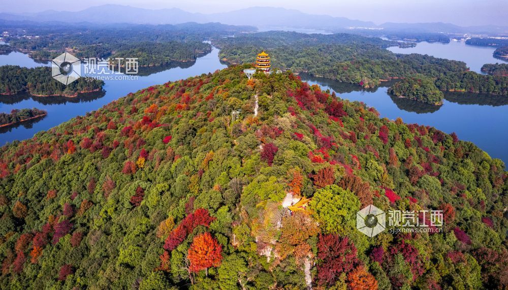 新余：冬日美景（图）