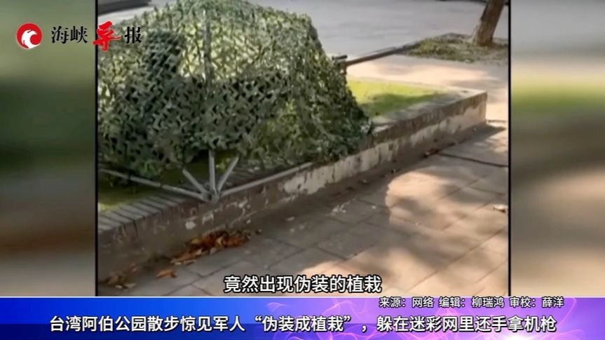 在公园演练？台湾民众惊见台军士兵伪装成植栽，躲迷彩网里还拿枪