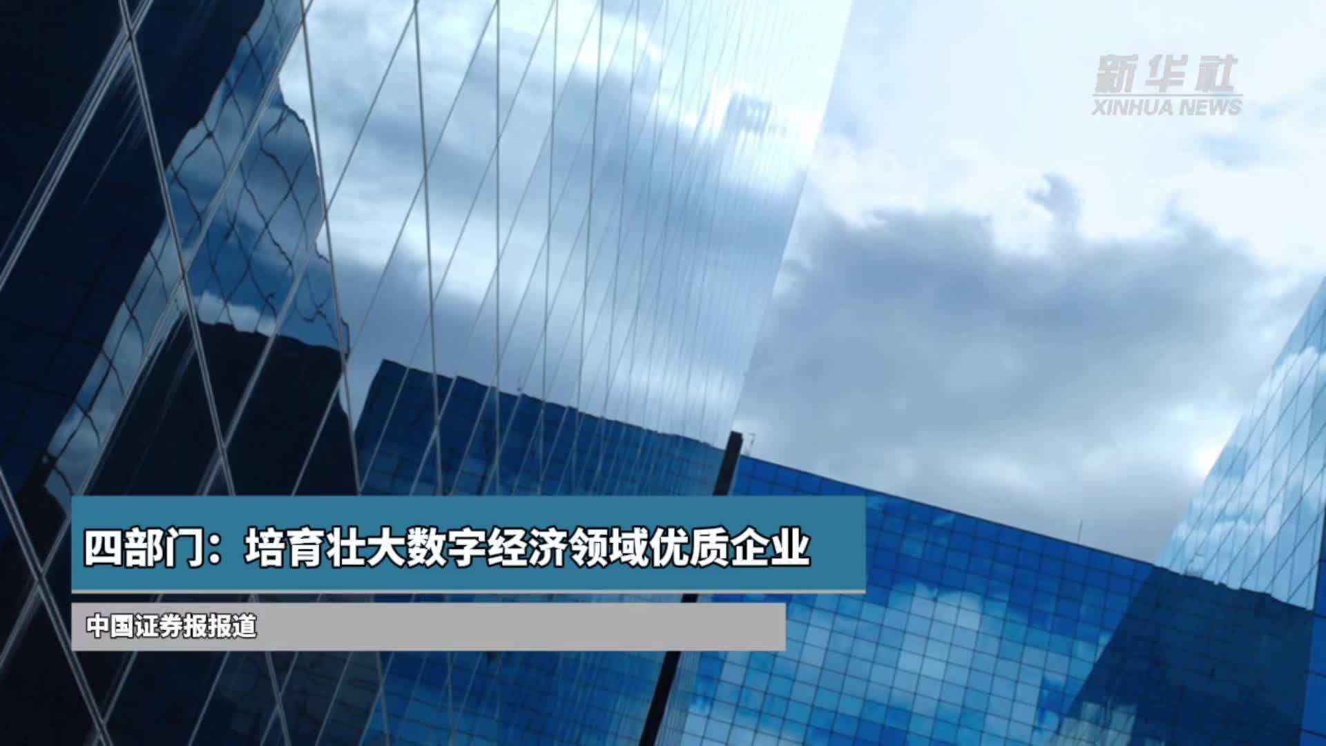 四部门：培育壮大数字经济领域优质企业