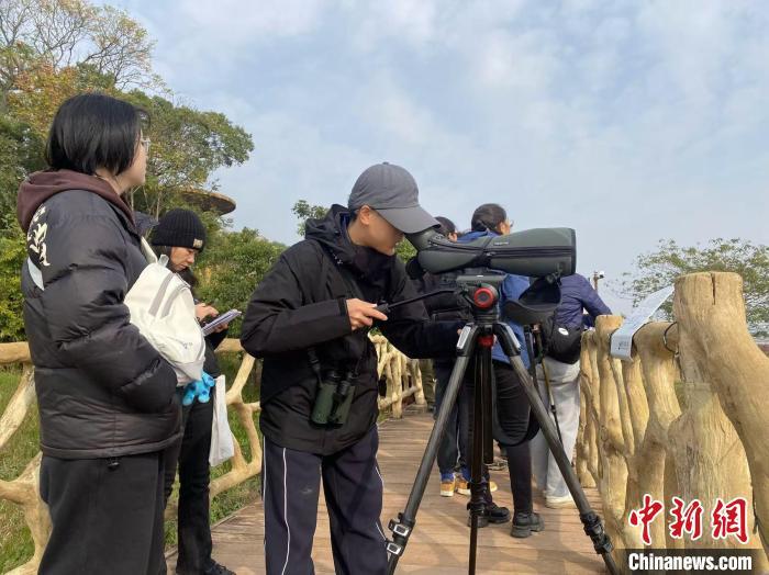 图为2024年鄱阳湖国际观鸟大赛现场，选手正在观鸟。永修县委宣传部供图