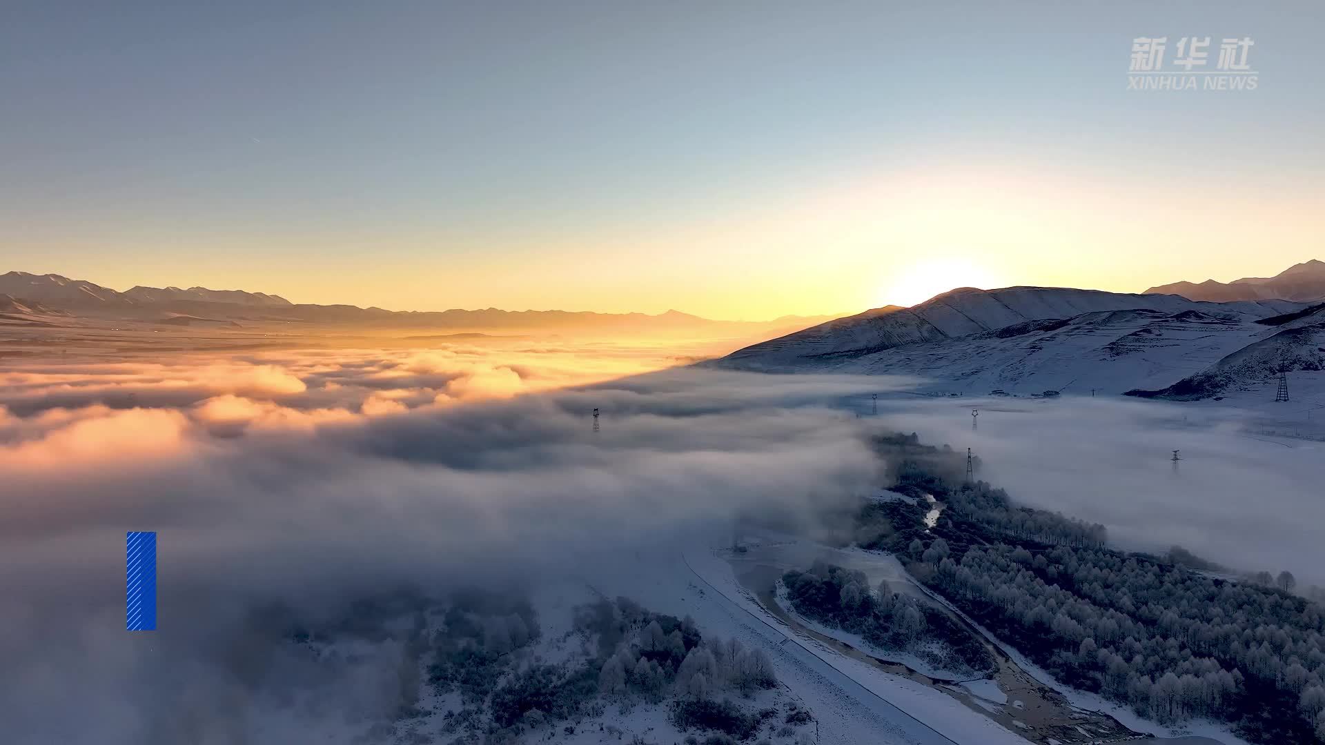 青海门源：雪后雾凇宛如仙境