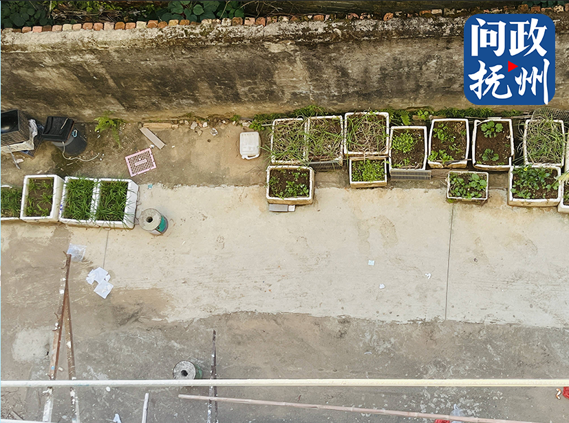 （图片由网友提供）