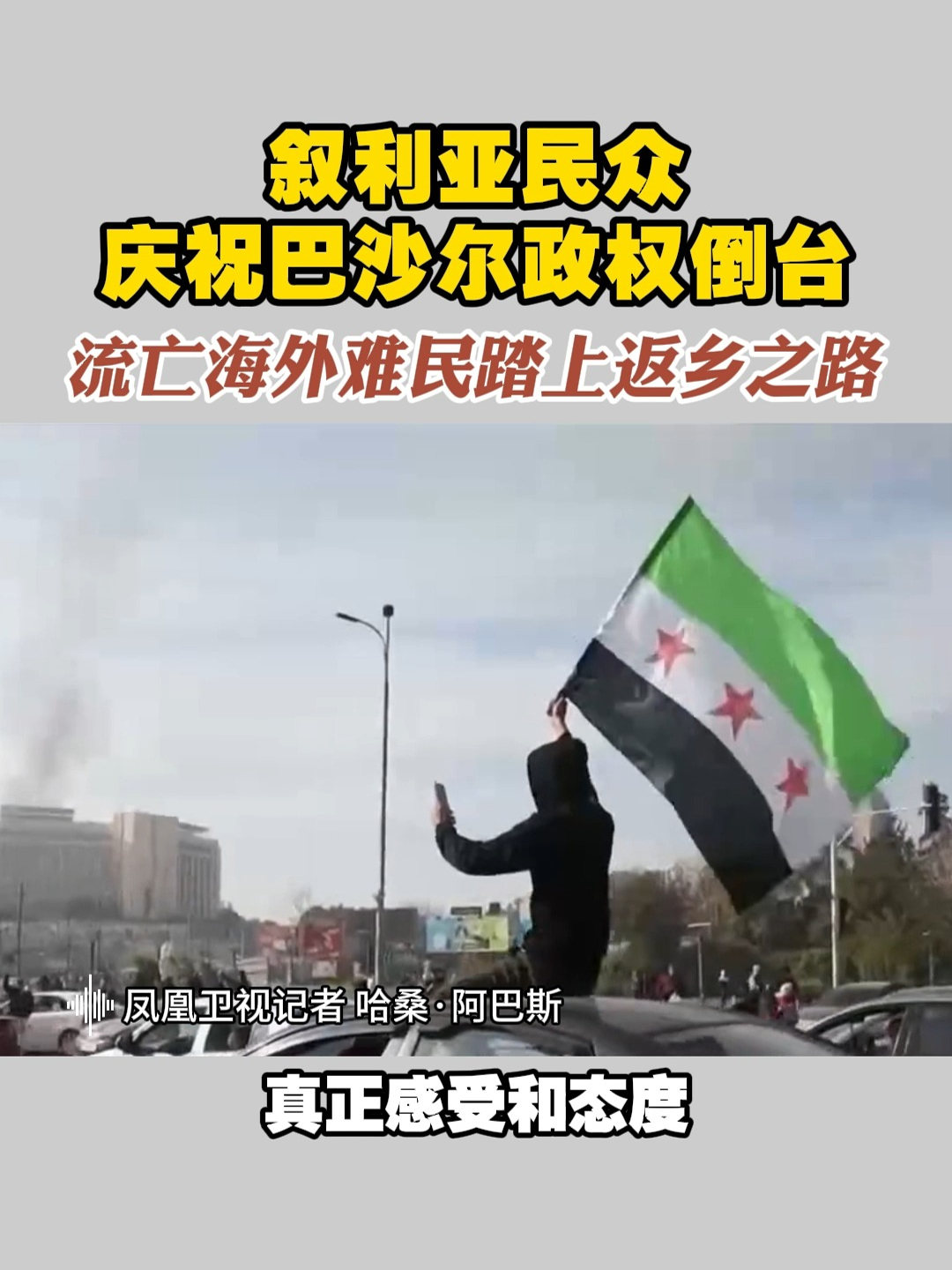 叙利亚民众庆祝巴沙尔政权倒台 流亡海外难民踏上返乡之路#叙利亚 #庆祝_凤凰网视频_凤凰网