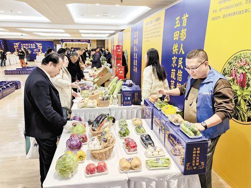 12月6日，在河北净菜&middot;玉田供京蔬菜北京推介会现场，玉田供京蔬菜很受欢迎。 本报记者 郝东伟摄