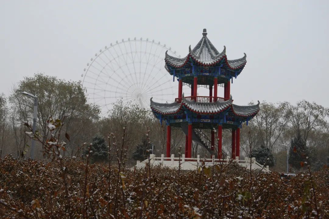 凉州植物园　图/吴建宏