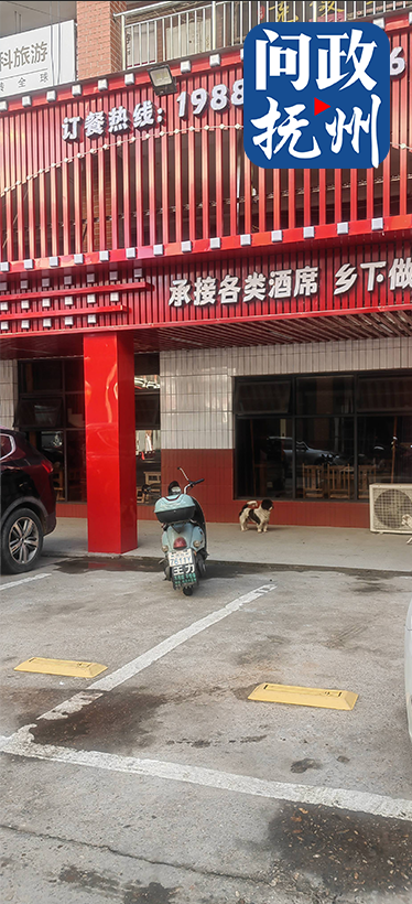 （图片由网友提供）