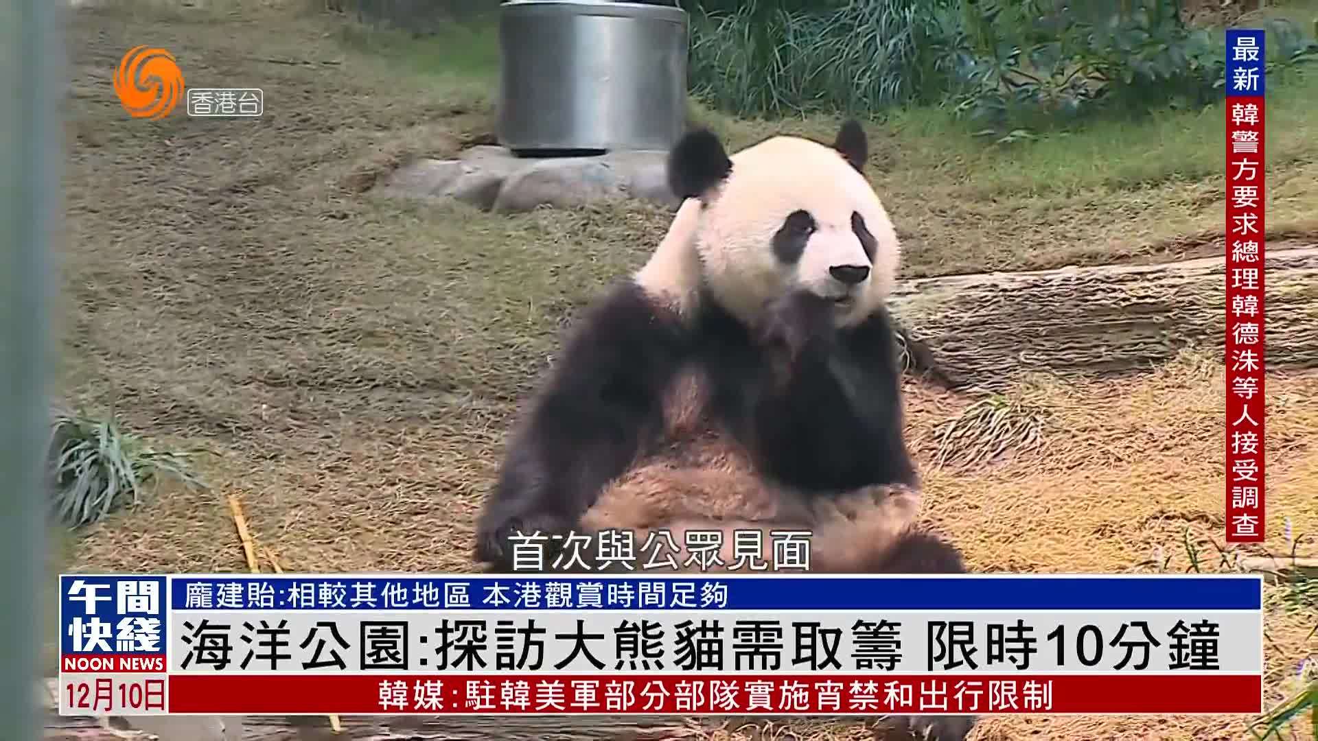 粤语报道｜香港海洋公园：探访大熊猫需取筹 限时10分钟