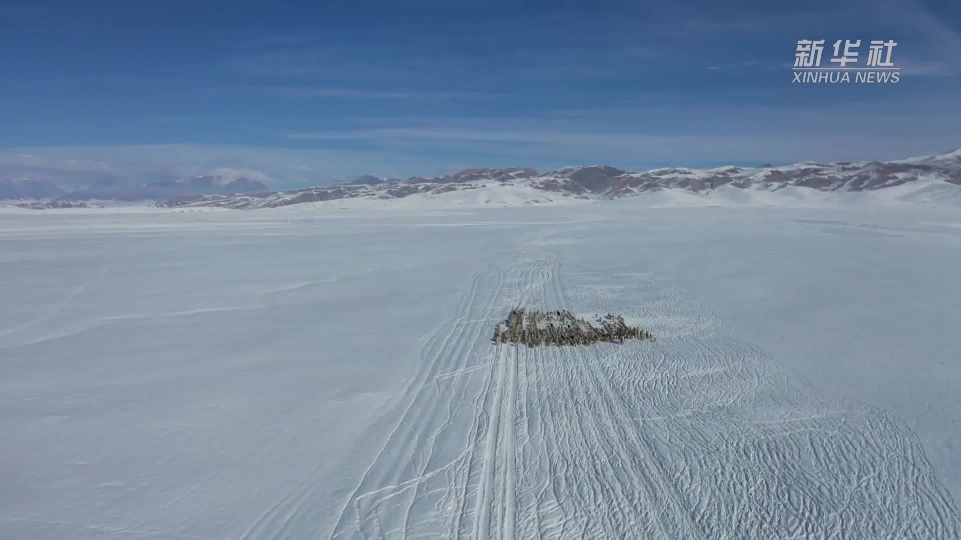 新疆和静县：机械助力百万头(只)牲畜冬季转场