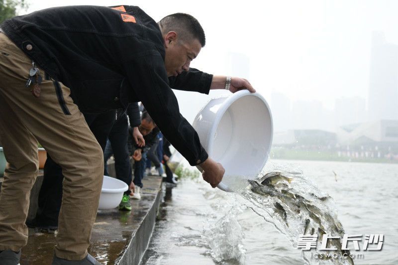 在湘江环境资源法庭生态修复基地开展增殖放流活动。省高院 供图
