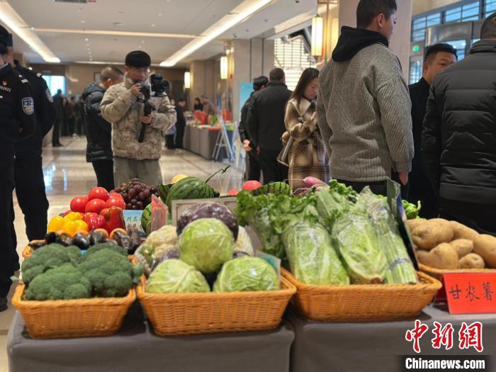 图为活动现场展示的武威蔬菜　杨娜　摄