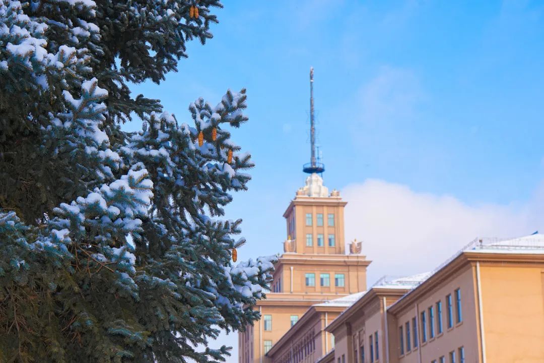 哈工大校园图景