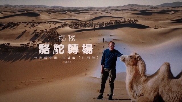 揭秘骆驼转场