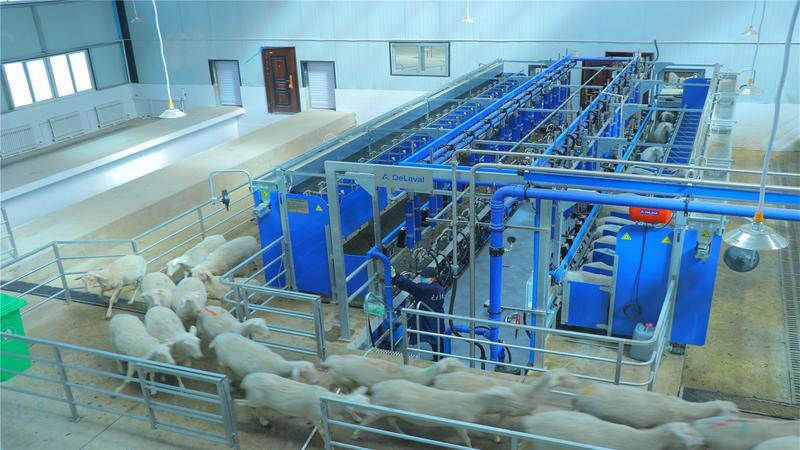 镇村企三方联动　永昌这样走城乡产业融合发展之路