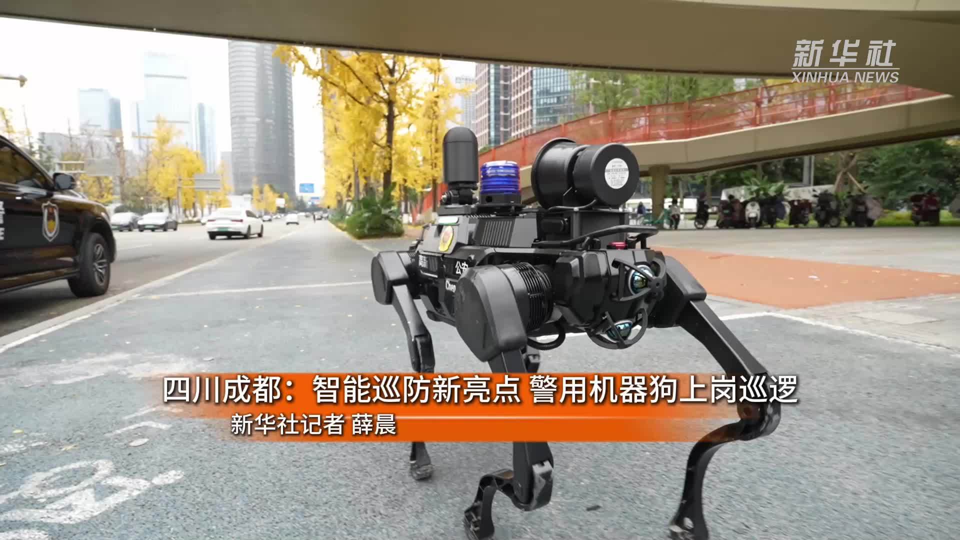 新华全媒+｜四川成都：智能巡防新亮点 警用机器狗上岗巡逻