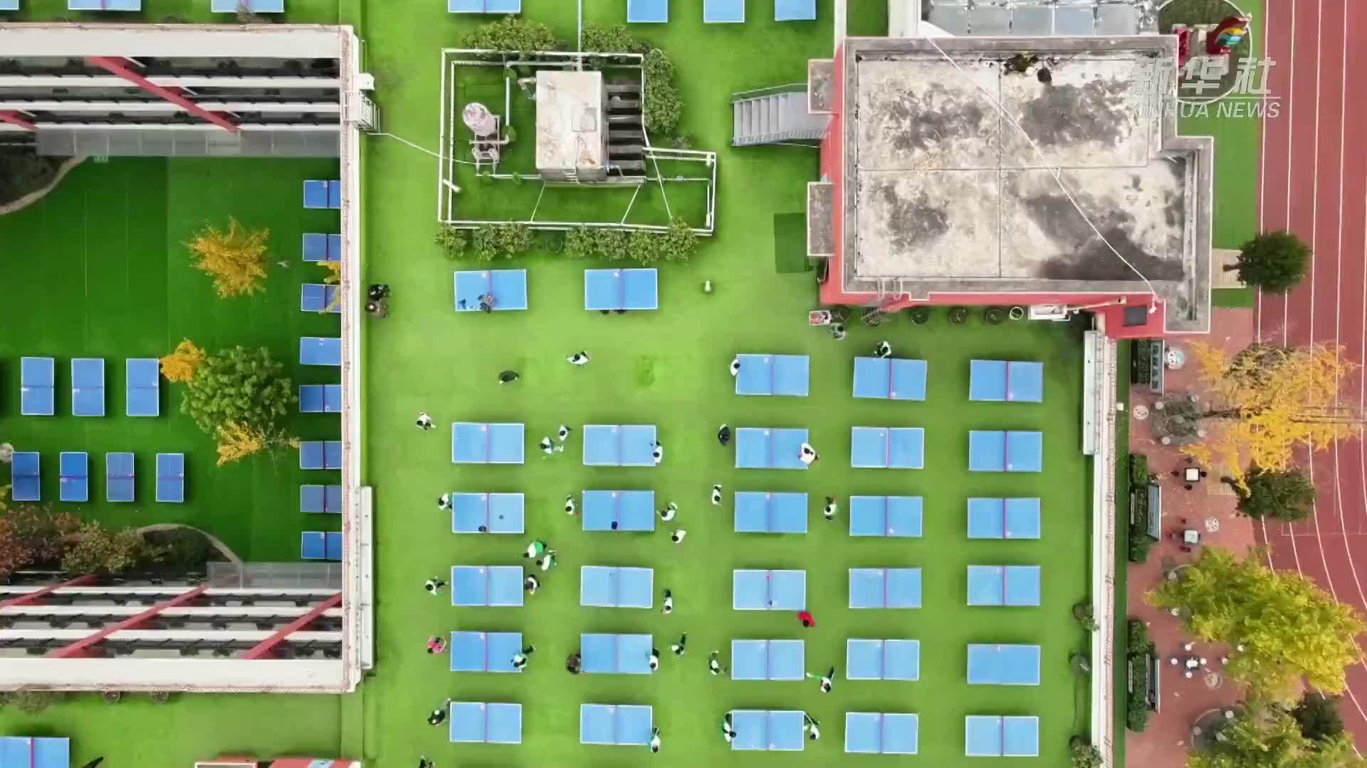 让学生动起来！拥有829张乒乓球桌的学校长啥样_凤凰网视频_凤凰网