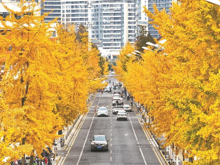 楚天都市报极目新闻记者宋枕涛摄