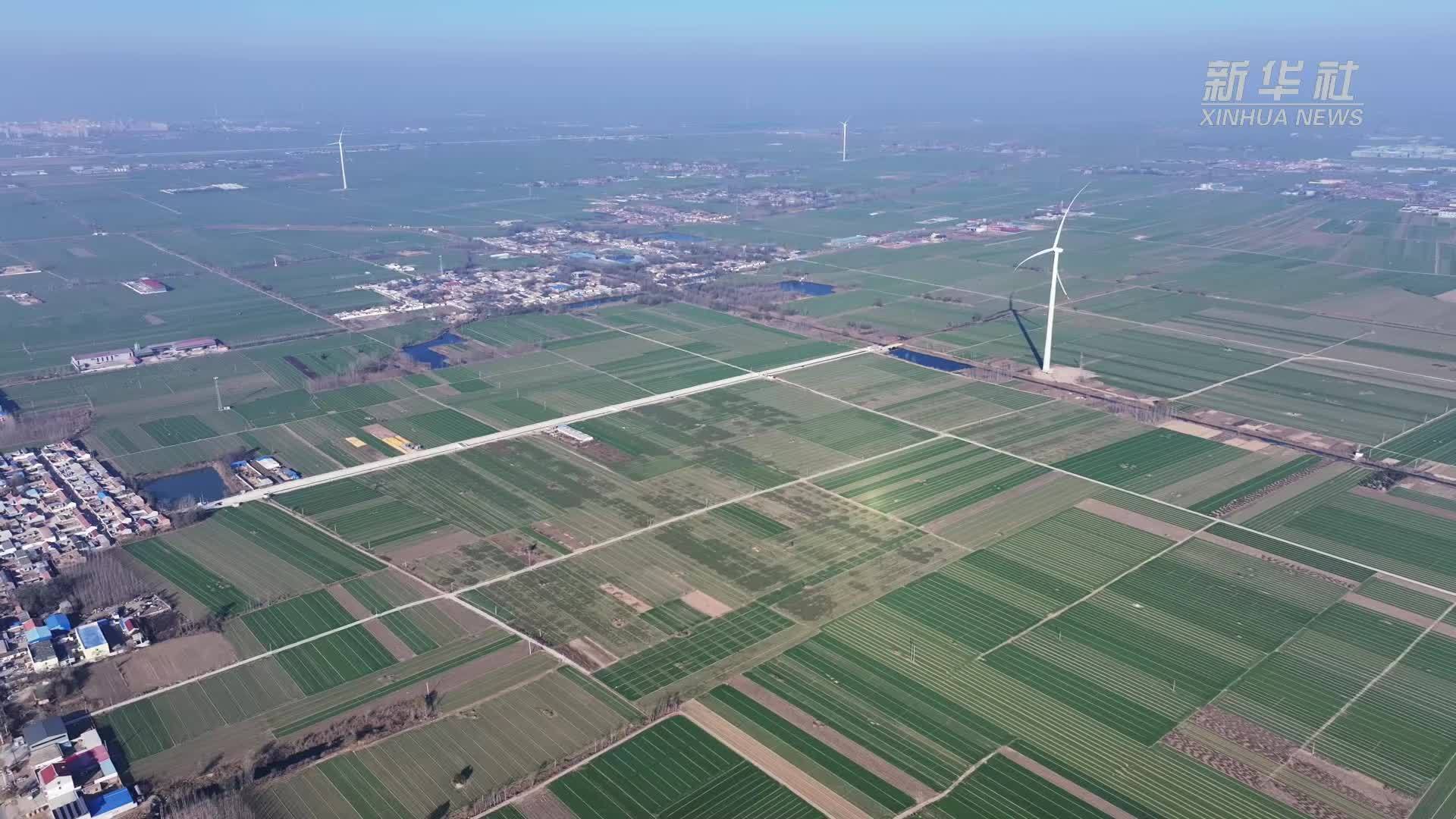 河北东光：高标准农田建设 推动农业高质量发展