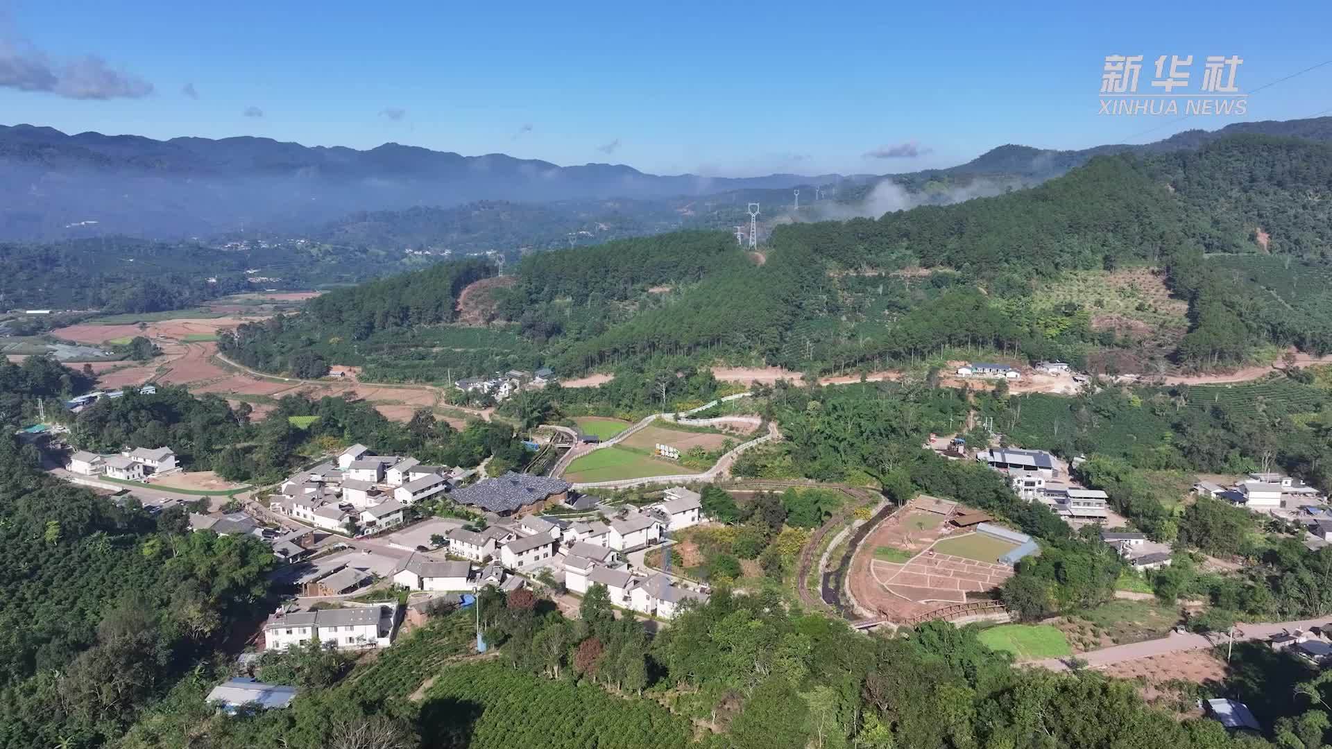 特色产业炼成记｜“从种子到杯子”——云南普洱咖旅融合助力乡村振兴