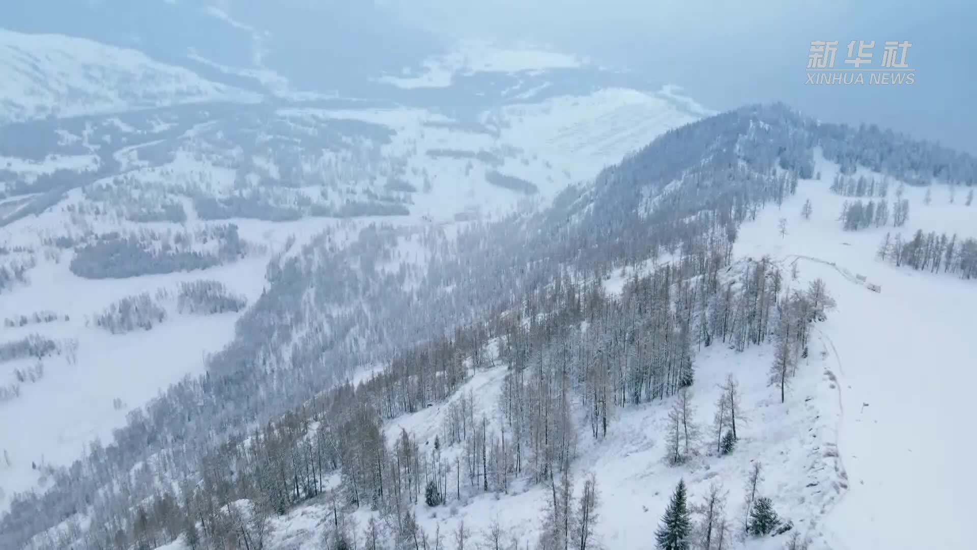 四季旅行·印象内蒙古｜冬日莫力达瓦：雪中的诗与远方
