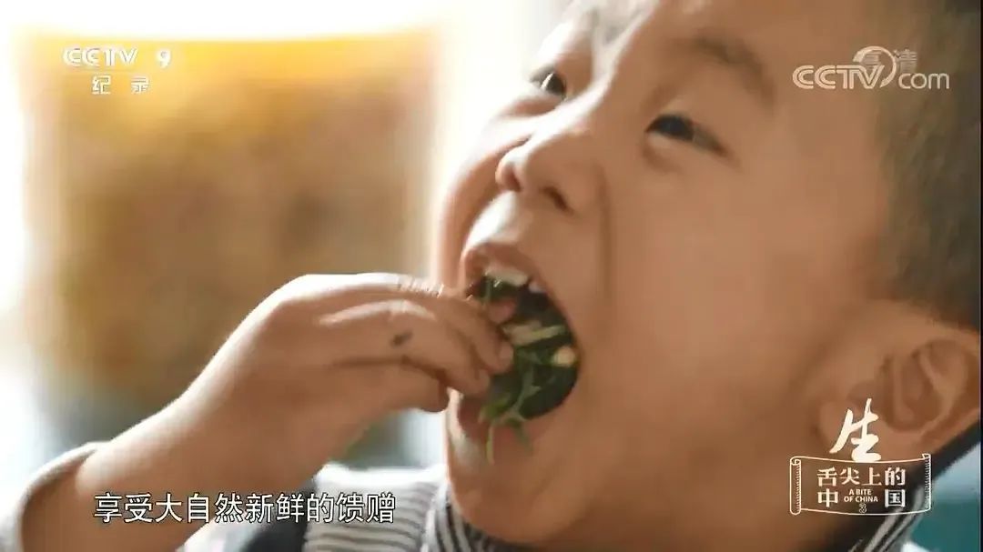 纪录片《舌尖上的中国 第三季》